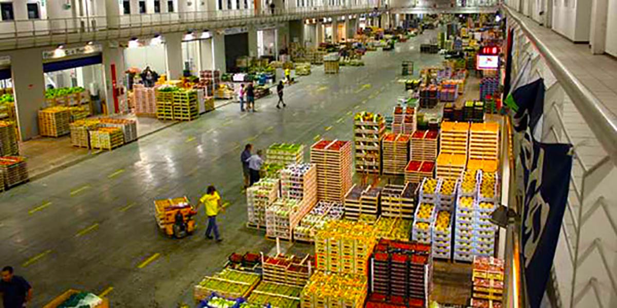 A Roma si celebra la Giornata Nazionale del Grossista